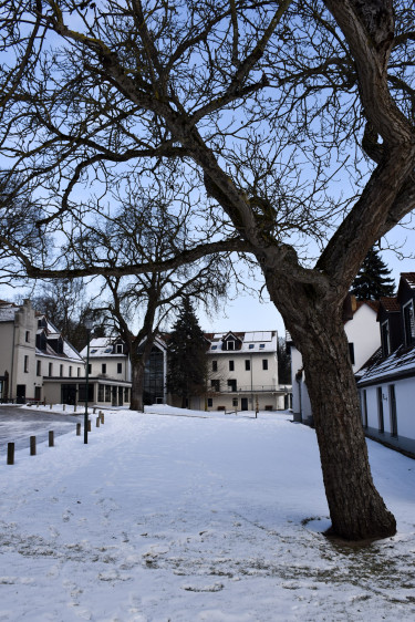 14-DSC_5252.jpg
