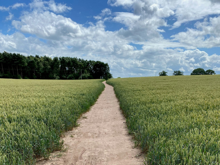 chris-tradgett-kopW25hqAkg-unsplash.jpg Projektende: Über vier Jahre "Abgehängt? Eingeholt! Jung, ländlich & vielfältig"