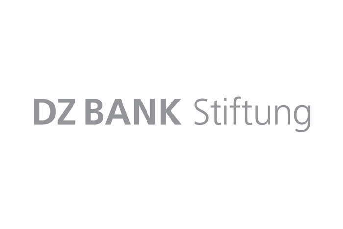 DZ BANK Stiftung Logo PANTONE Cool Gray 9-z8pyjp3xsy6qkvn
